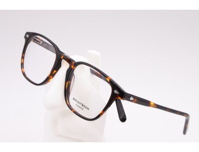 Lunettes de vue mixte BRIGHT&SON BR 536 C5