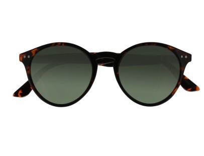 Lunettes de soleil mixte Owlet Originals OWIS154 C28 – Valenciennes