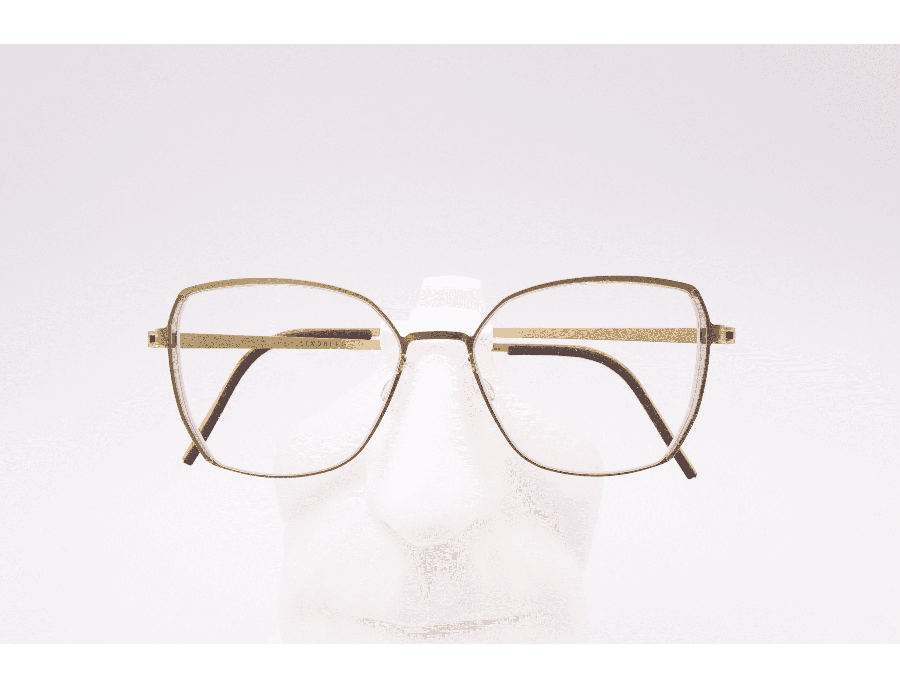 Lunettes de vue mixte LINDBERG STRIP 9862 GT K208