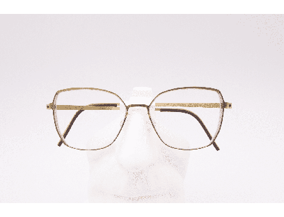Lunettes de vue mixte LINDBERG STRIP 9862 GT K208 – Valenciennes