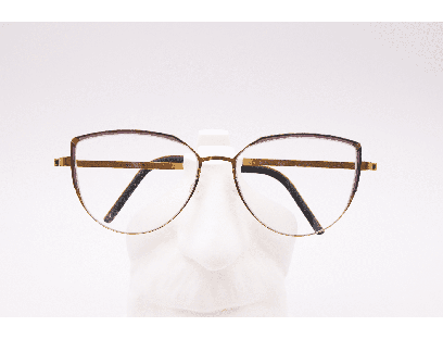 Lunettes de vue mixte LINDBERG STRIP 9855 P60 K209 – Valenciennes