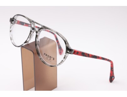 Lunettes de vue mixte FROD'S FRANC 317