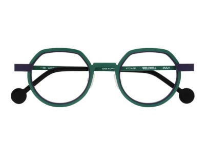 Lunettes de vue homme ANNE & VALENTIN WELLWELL 25A21 – Valenciennes